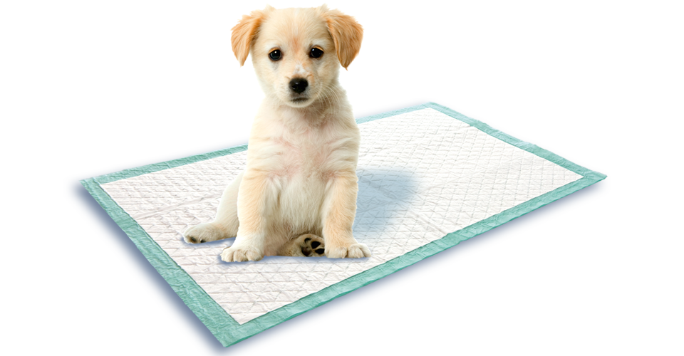 Puppy training mat from Swirl® Puppy training mat from Swirl®